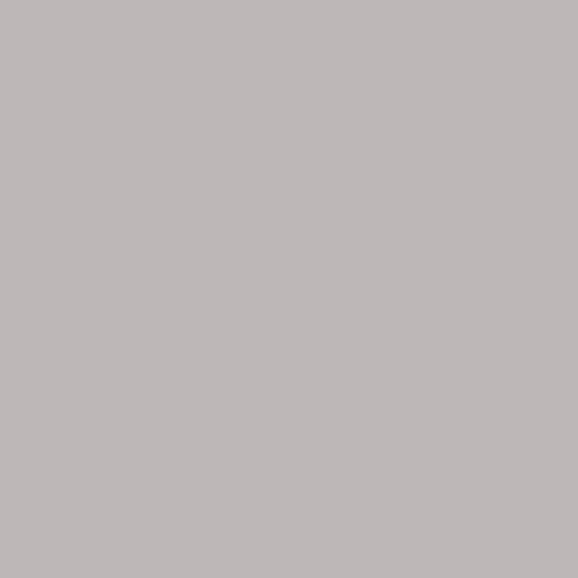 Gris Dauphin